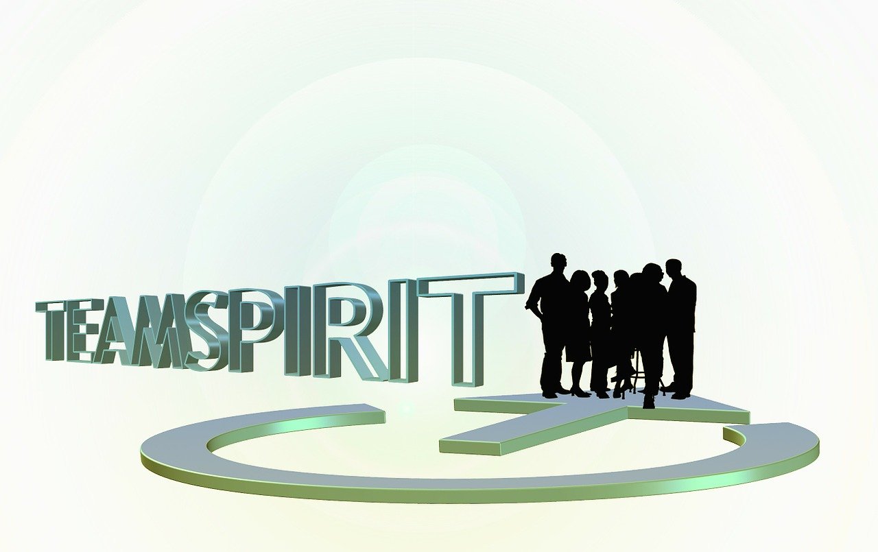 Partner , webmarketing-solution.expert Partner , webmarketing-solution.expert